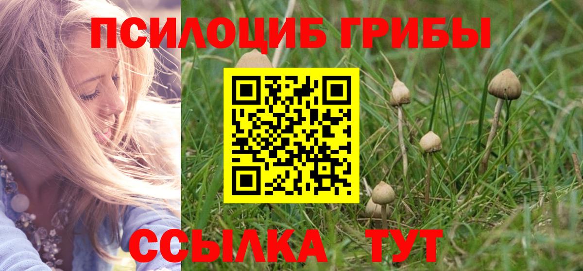 Морозовск  наркошоп  Вход с VPN  Галлюциногенные грибы прущие грибы 